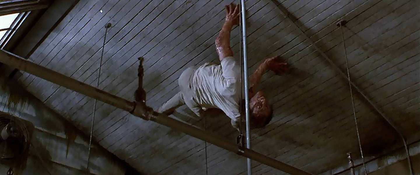 Brundle on the ceiling